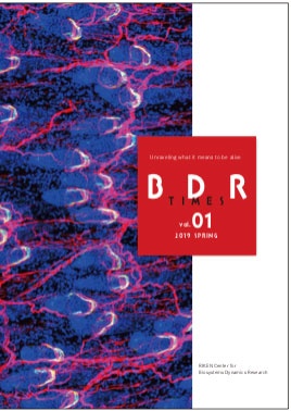 Download BDR Times PDF