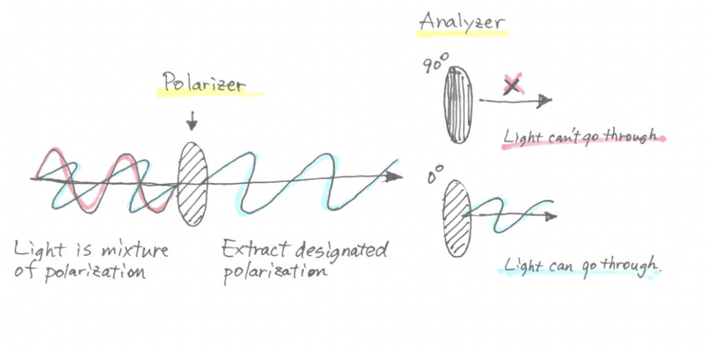 polarizer extract light