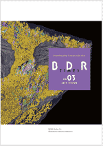 Download BDR Times PDF