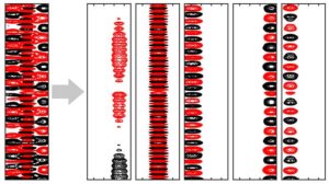 重なり合うNMR信号を分離し、タンパク質の構造や動きなどに関する情報を得る模式図