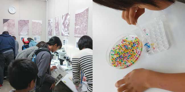 People look into microscope and play games with beads at Kobe Open house 