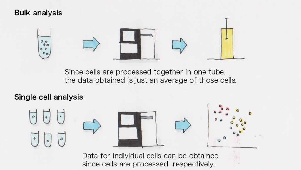 Comparison of bulk and single cell analysis