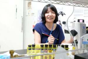 実体顕微鏡の前に座る高野さんは青い服を着た女性