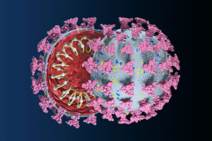 内部にRNAを含むSARS-CoV-2ウイルスの立体模型