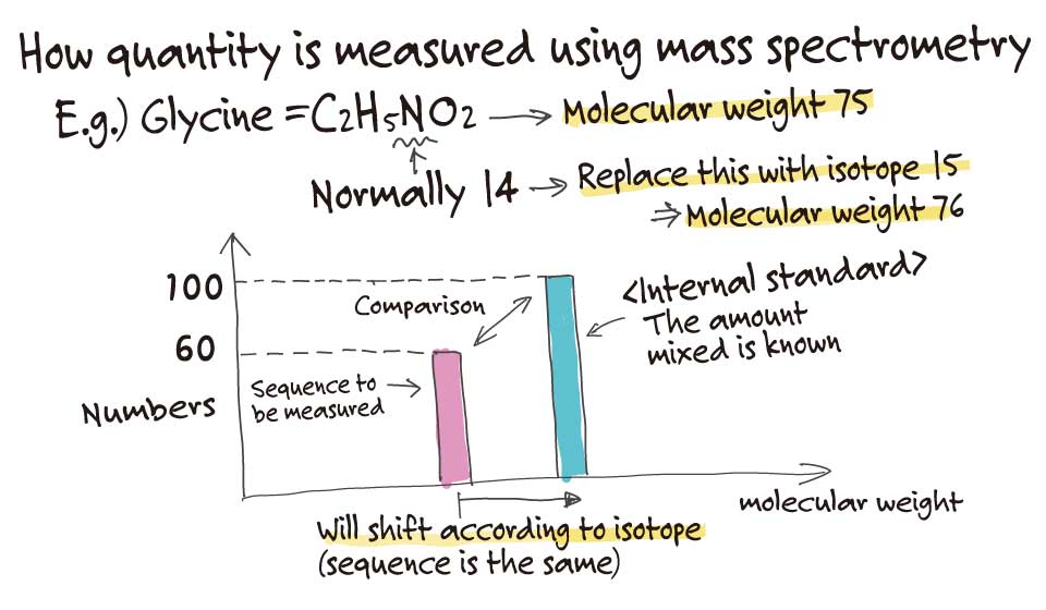 How quantity is measured using MS